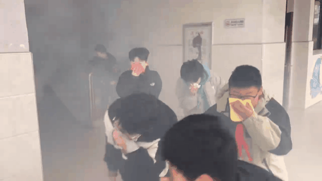tutieshi_640x360_3s.gif