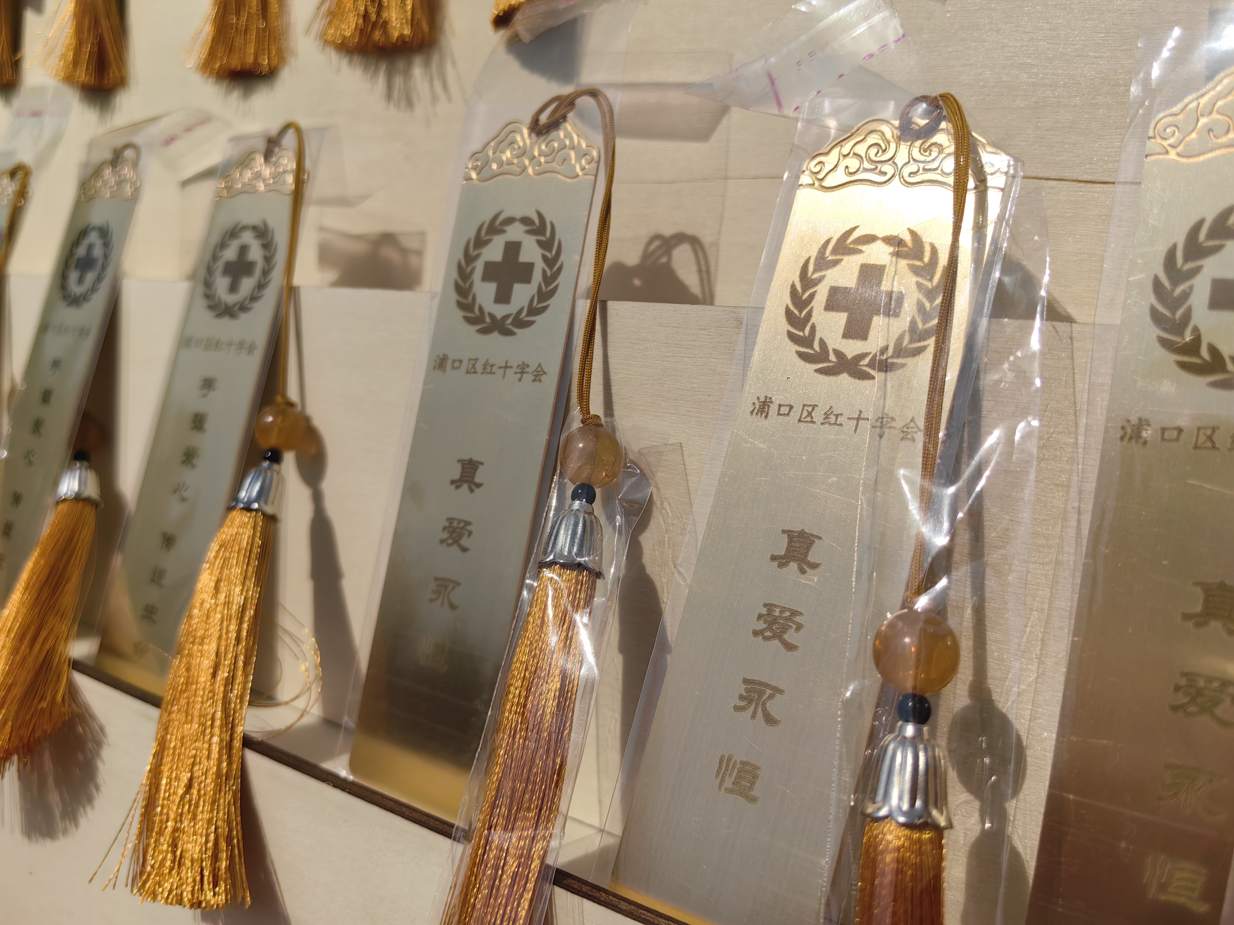 南京市浦口区红十字会开展“真爱永恒”遗体器官捐献缅怀活动 -4).jpg