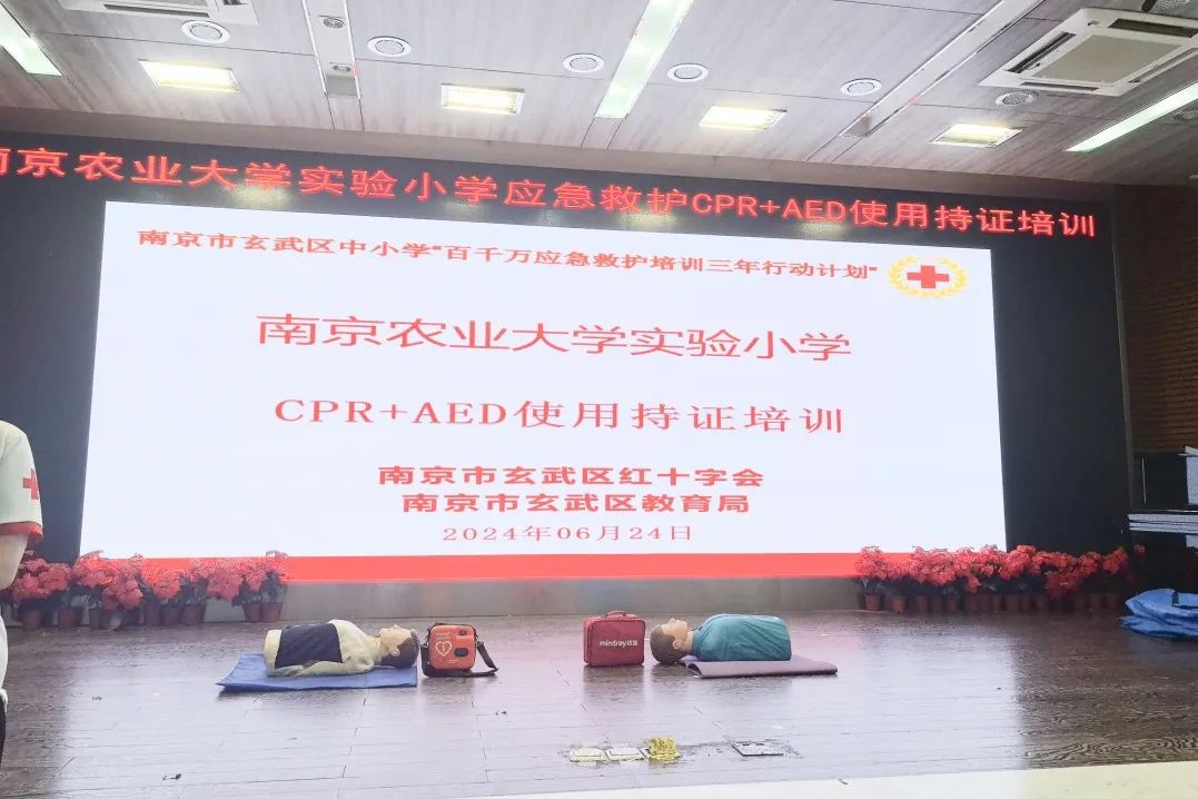南农实小1.jpg